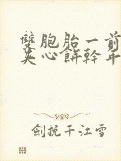 双胞胎一前一后夹心饼干年下