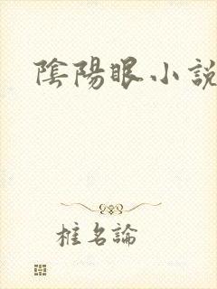 阴阳眼小说