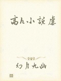 高h小说虐