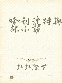 哈利波特与火焰杯小说