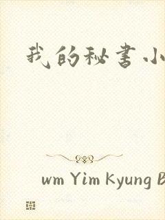我的秘书小姐