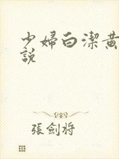 少妇白洁黄色小说