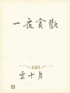 一夜贪欢
