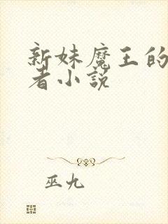 新妹魔王的契约者小说