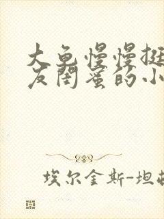 大龟慢慢挺进女友闺蜜的小说