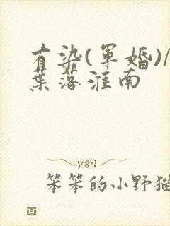 有染(军婚)/叶落淮南