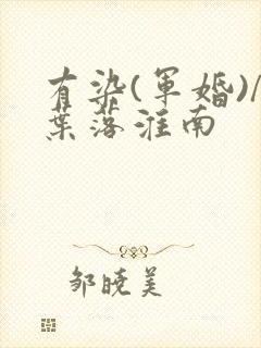 有染(军婚)/叶落淮南