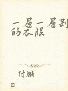 一层一层剥掉你的衣服