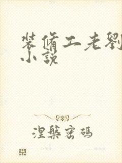 装修工老刘林雪小说