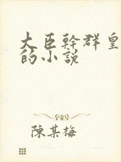 大臣干群皇太后的小说