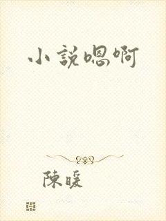 小说嗯啊