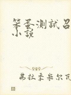 笨蛋测试召唤兽小说