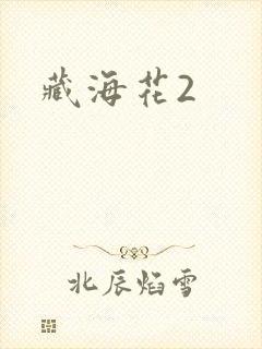 藏海花2