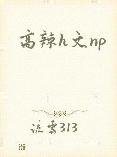 高辣h文np