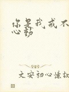 你是我戒不掉的心动