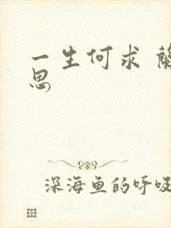 一生何求 兰思思