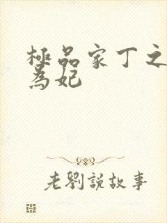 极品家丁之册母为妃