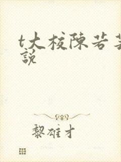 t大校陈若芸小说