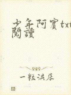少年阿宾txt阅读