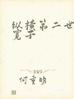 纵横第二世界 宽子