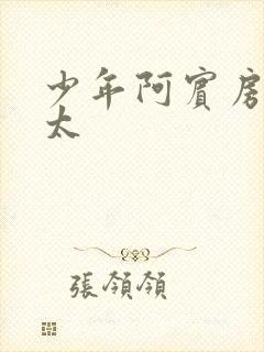 少年阿宾房东太太