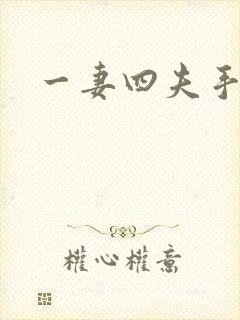 一妻四夫手记