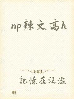 np辣文高h