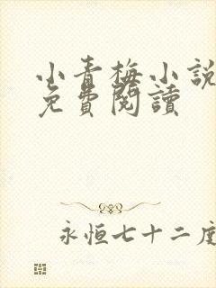 小青梅小说全文免费阅读