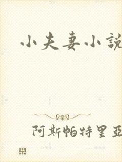 小夫妻小说