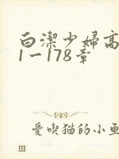 白洁少妇高义第1一178章