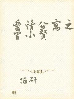 爱情公寓之极品曾小贤