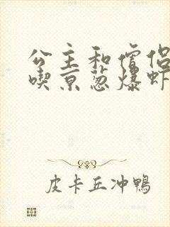 公主和僧侣 爱吃京葱爆虾的当归