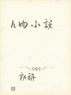 h肉小说