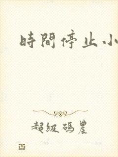 时间停止小说