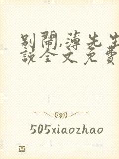 别闹,薄先生小说全文免费阅读