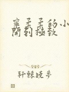 宁柔柔的小泬撑开到极致