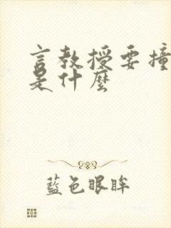 言教授要撞坏了是什么