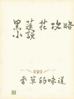 黑莲花攻略手册小说