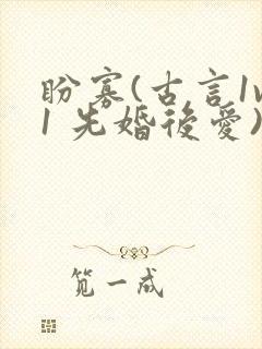 盼寡(古言1v1 先婚后爱)