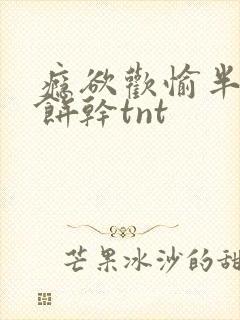 瘾欲欢愉半块小饼干tnt