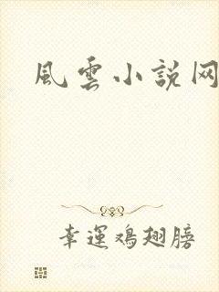 风云小说网