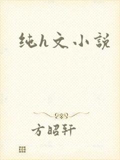 纯h文小说