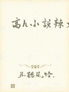 高h小说辣文