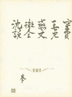 沈微燕王穿越小说全文免费阅读