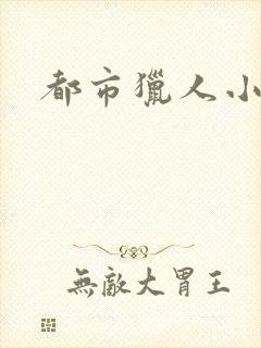 都市猎人小说