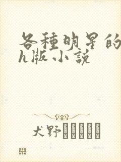 各种明星的综艺h版小说