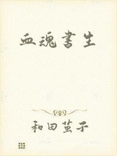 血魂书生