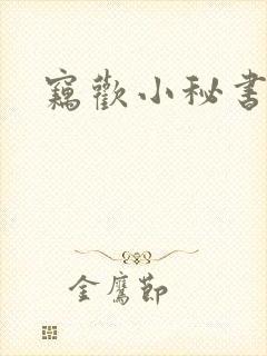 窃欢小秘书
