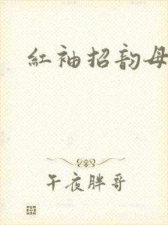 红袖招韵母攻略