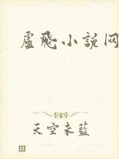 卢飞小说网